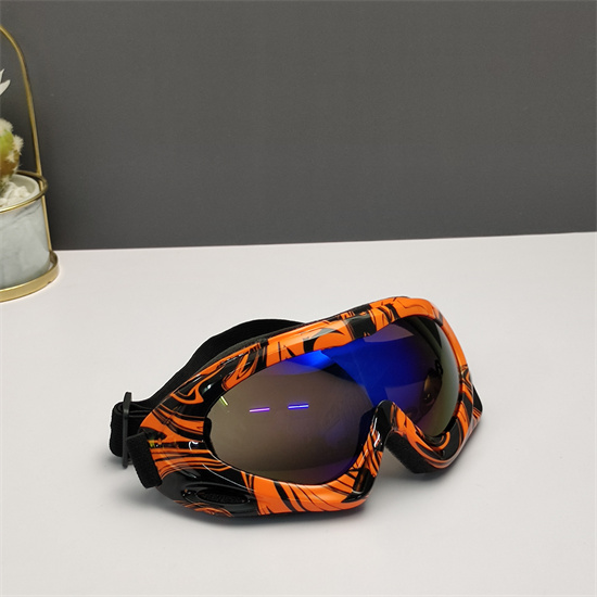 Oakley Ski Goggles 021